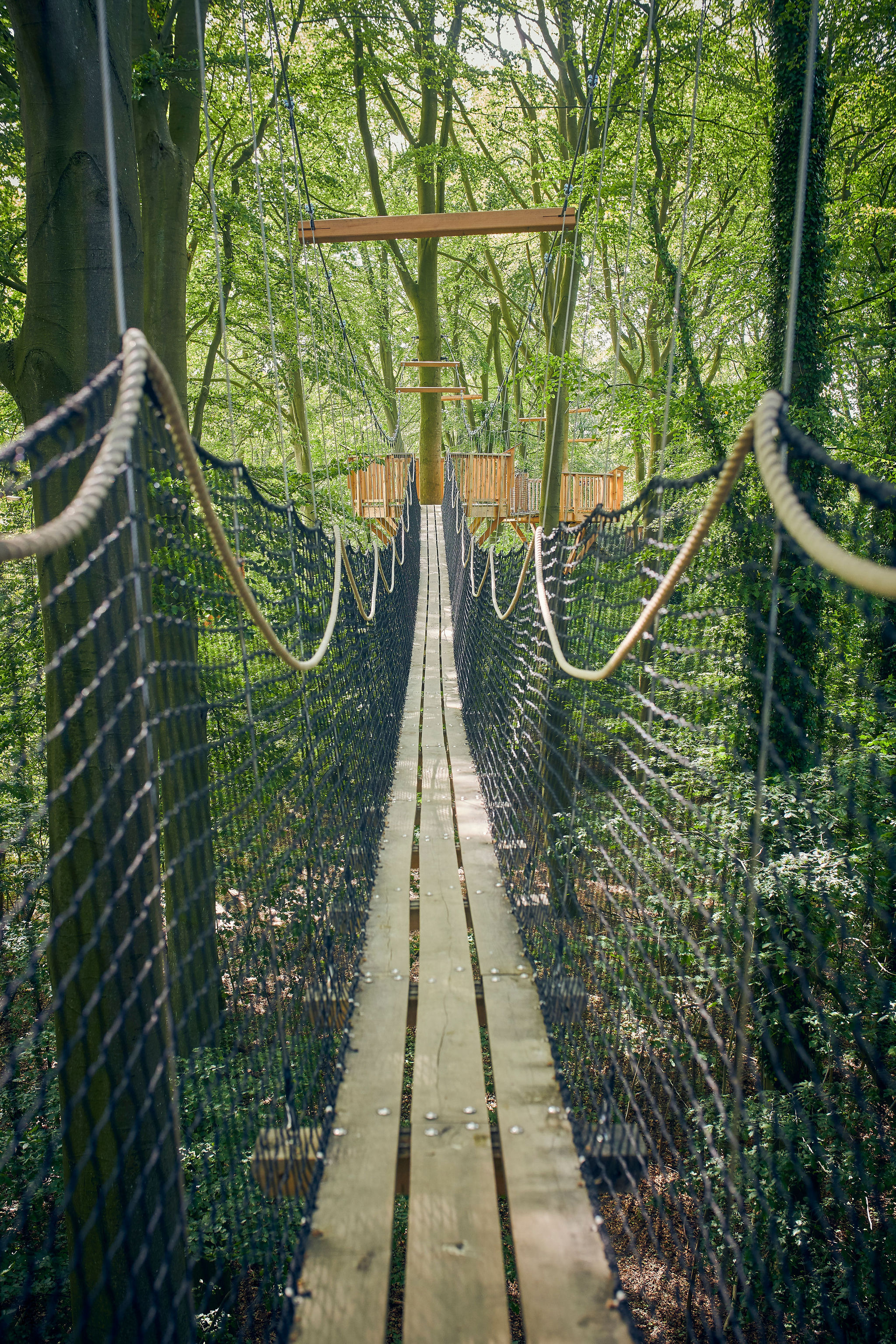 Gangbro I Bøgetoppen I Odense ZOO