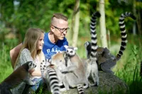 Tæt på lemurer i Odense ZOO far og datter