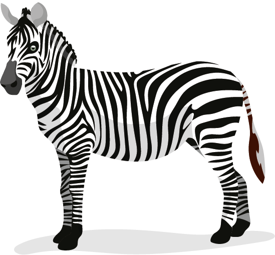 Zebra