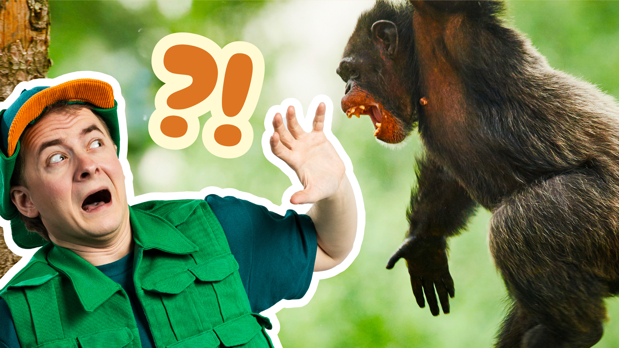 Ivan Vildand er landet i ZOO! Se med her