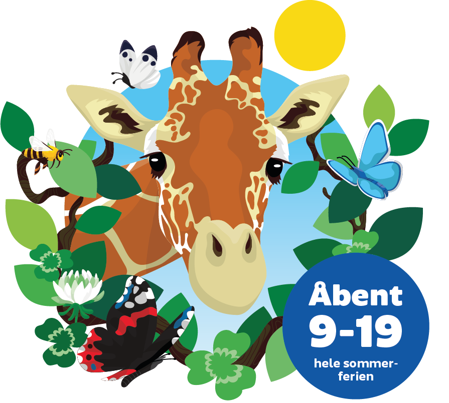 Illu Forside Mobil Sommer 2025