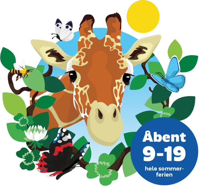 Illu Forside Mobil Sommer 2025