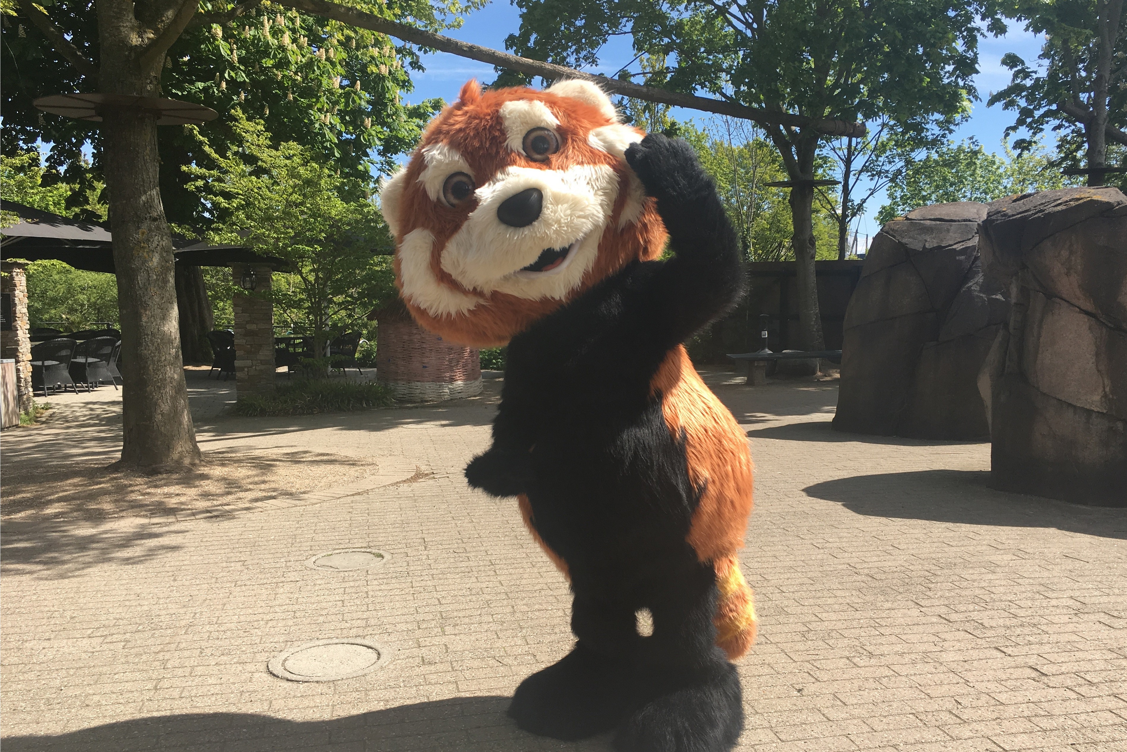 Bambus maskot i Odense ZOO