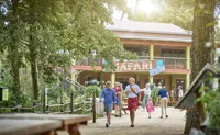 Safar Café i Odense ZOO ved giraffer og løver