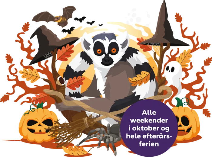 Illu Forside Mobil Splat Datoer Halloween 2024