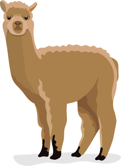 Alpaca