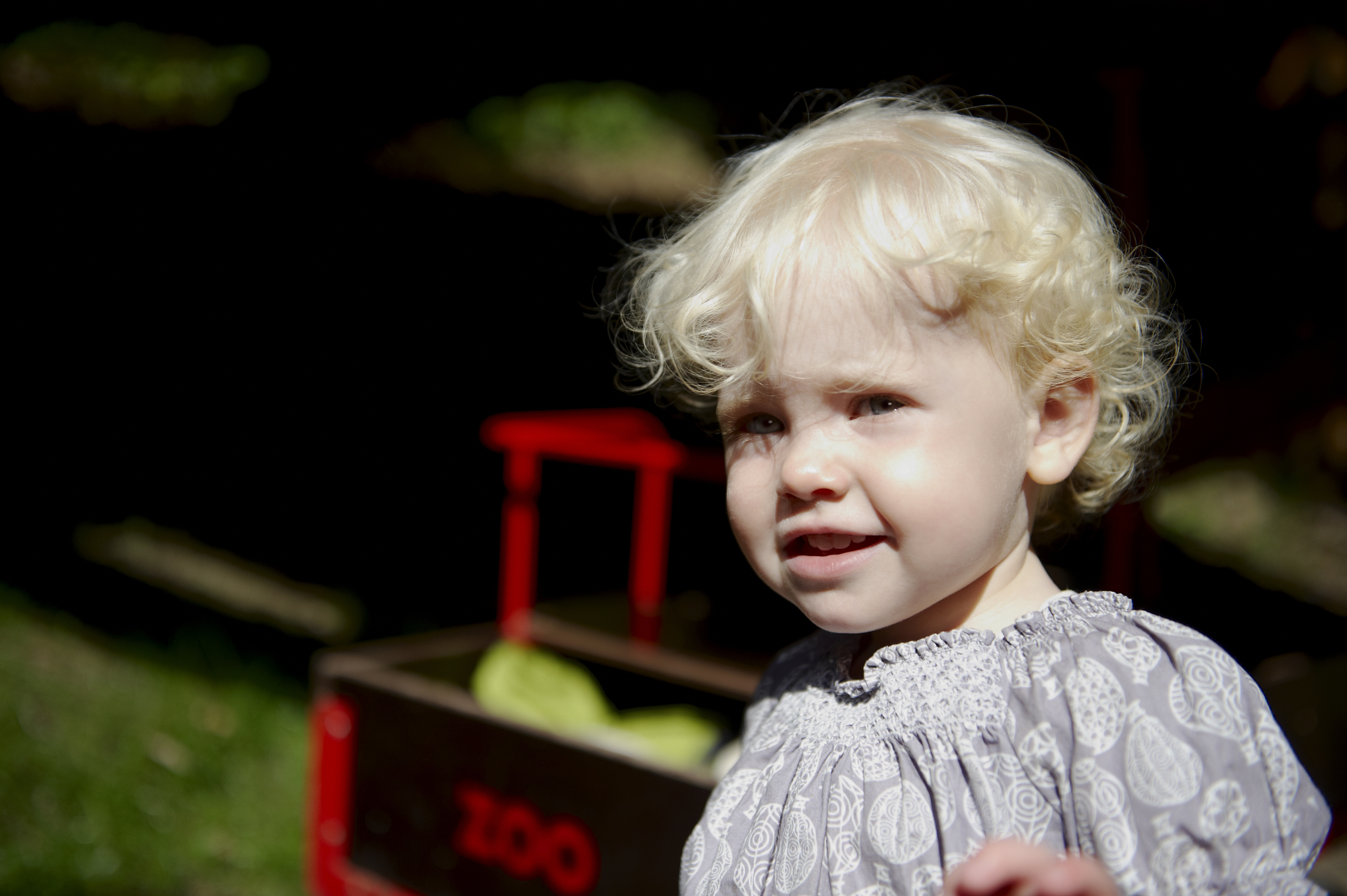 Barn ved trækvogn i Odense ZOO