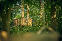 Gæster i Bøgetoppen i Odense ZOO