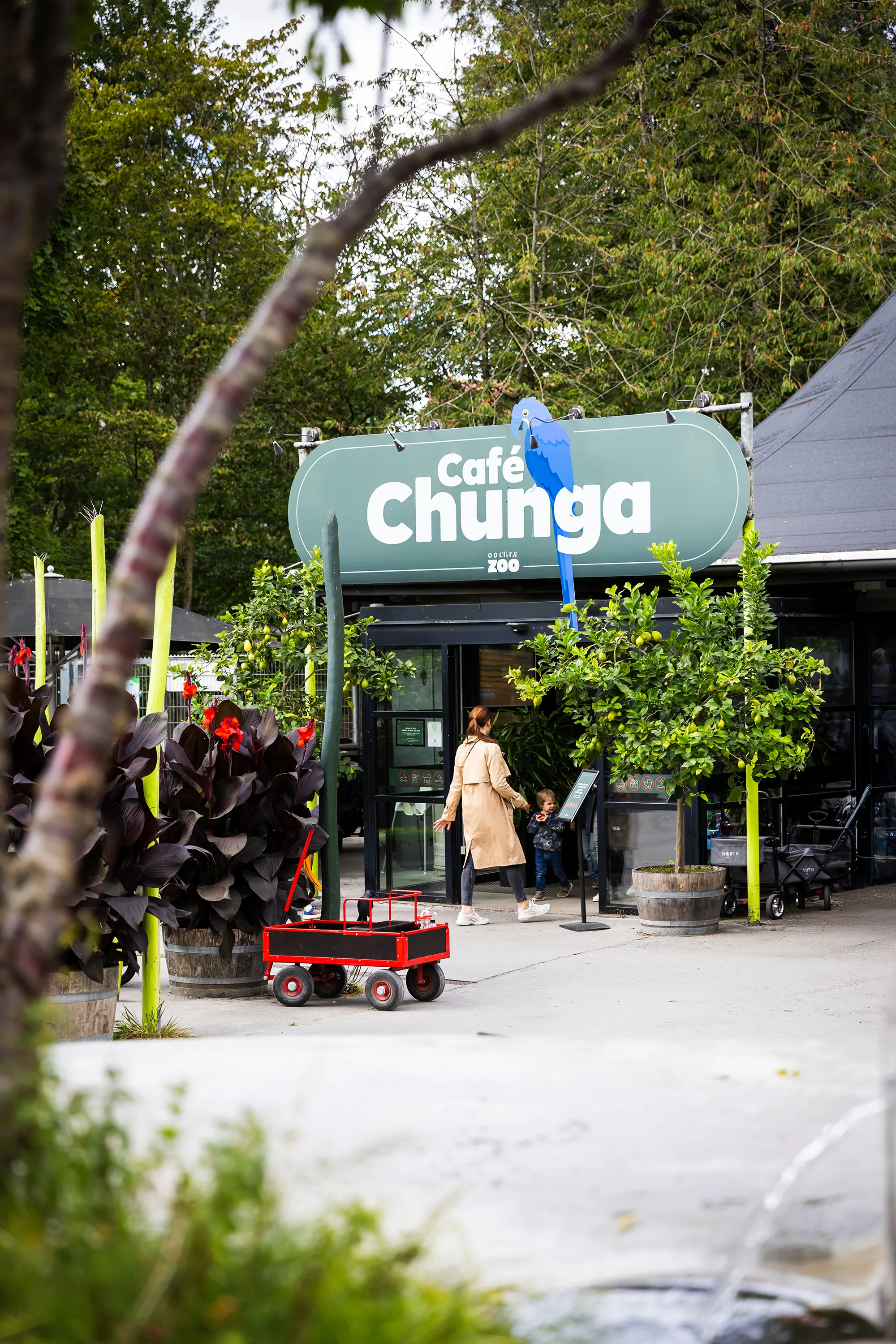 Chunga Fish Café Chunga i Odense ZOO