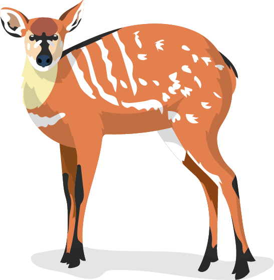 Sitatunga (savannen)