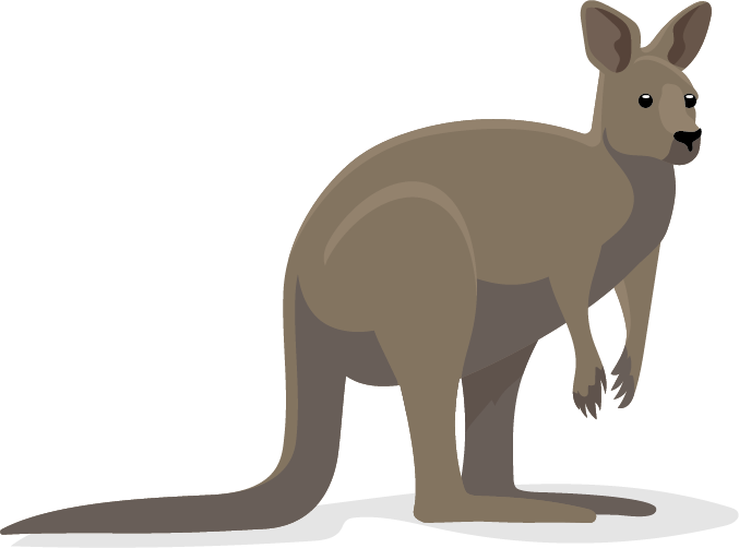 Kænguru