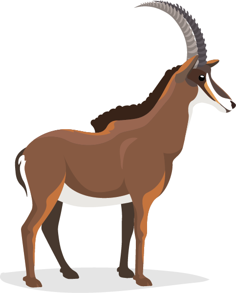 Sabelantilope