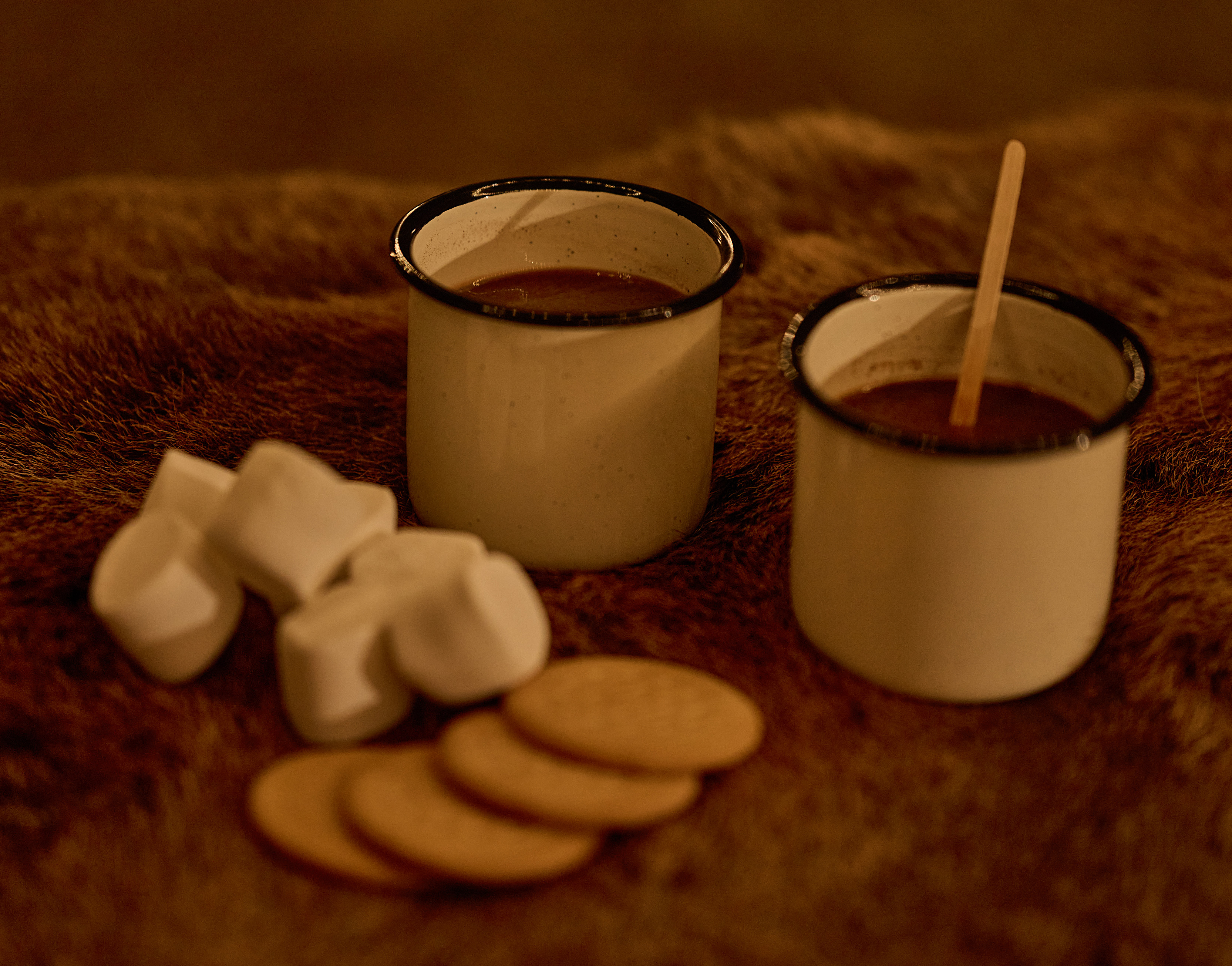 Varm kakao og skumfiduser overnat i shelters i Camp Kiwara på savannen i Odense ZOO