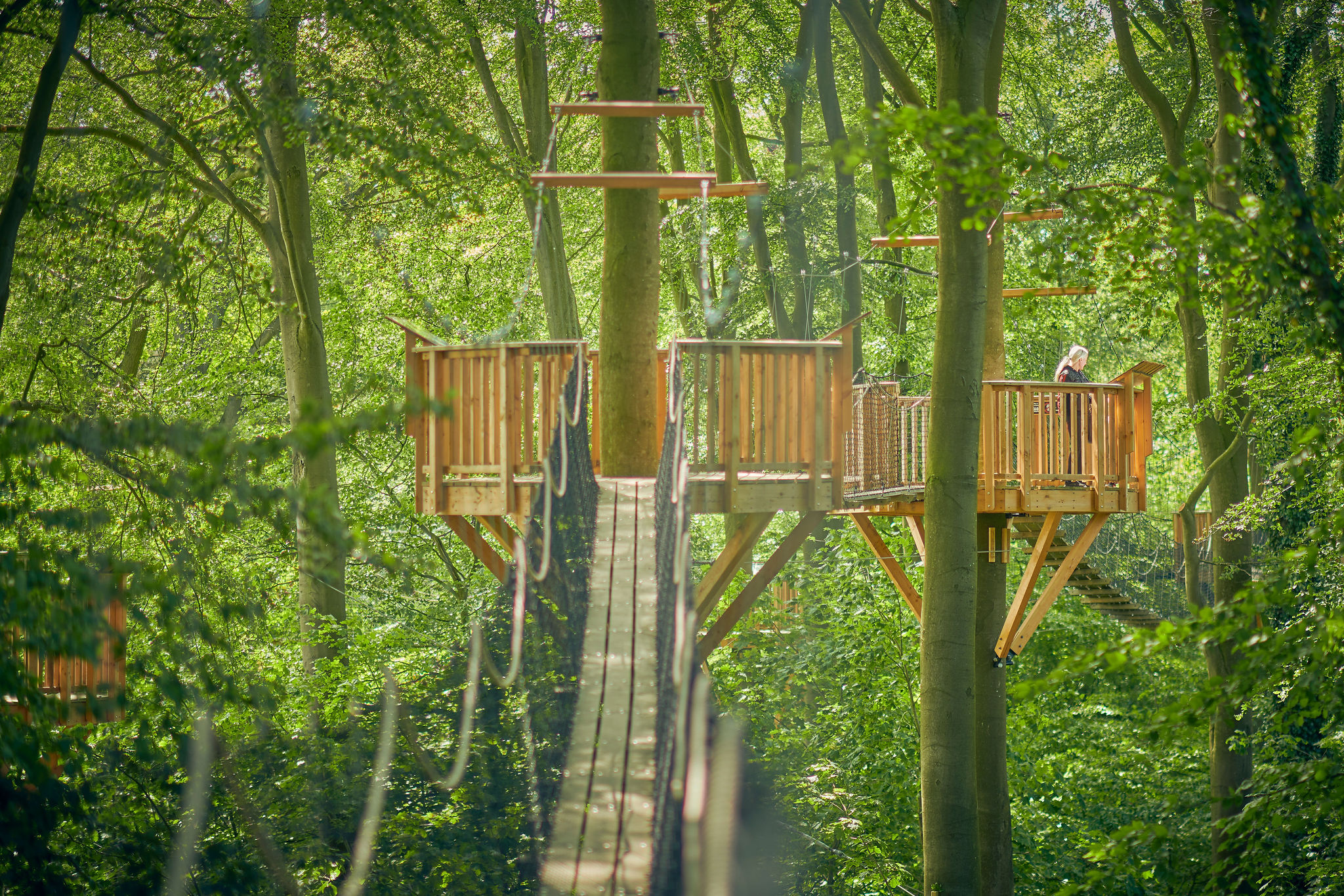 Gangbro I Bøgetoppen I Odense ZOO (1)