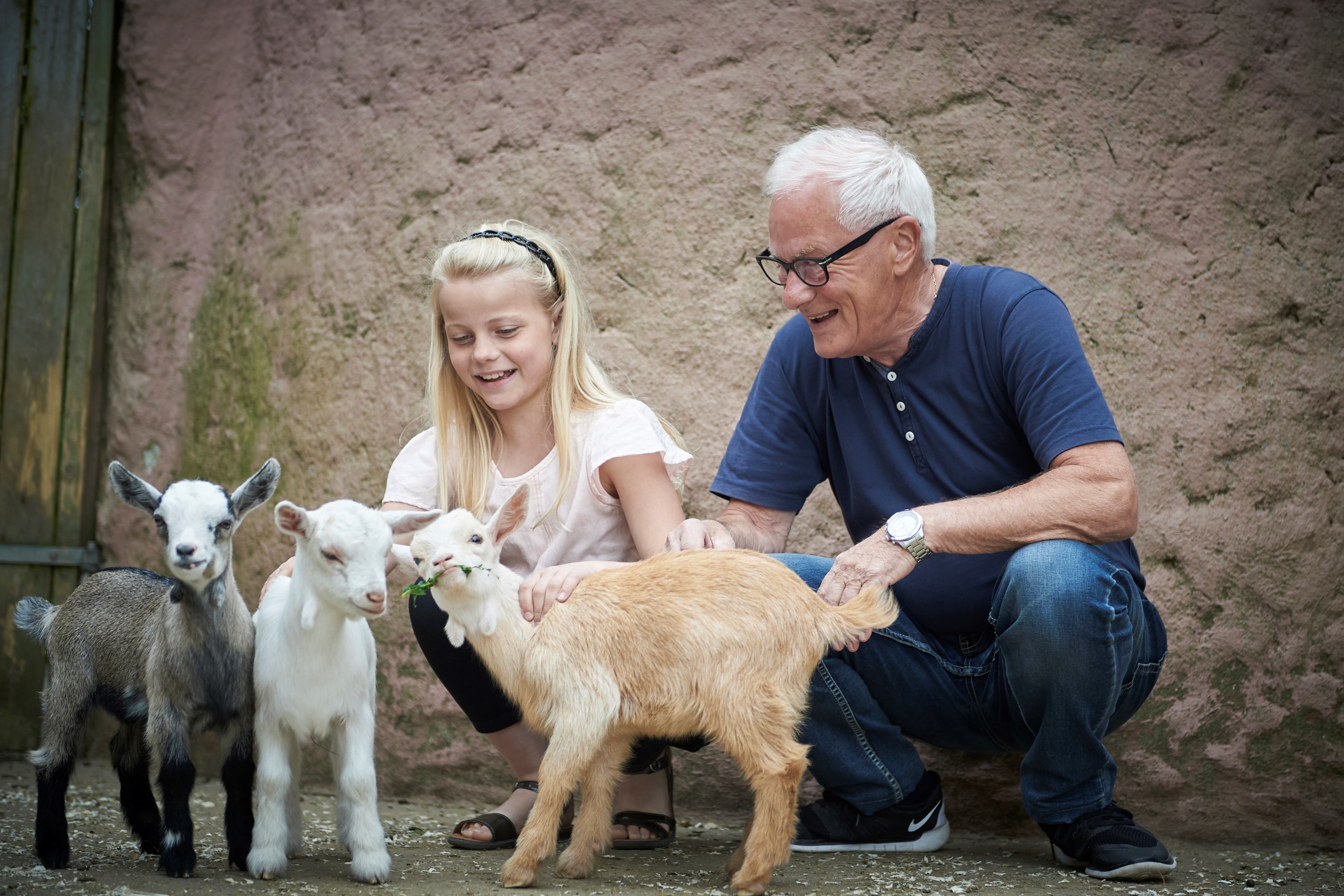 Gæster klapper geder i Odense ZOO