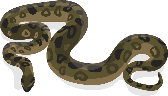 Anakonda