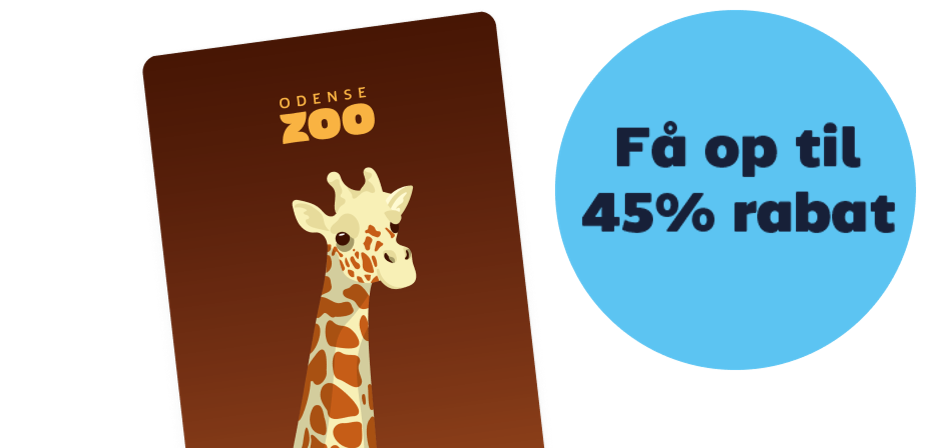 Studierabat Gammel FINAL