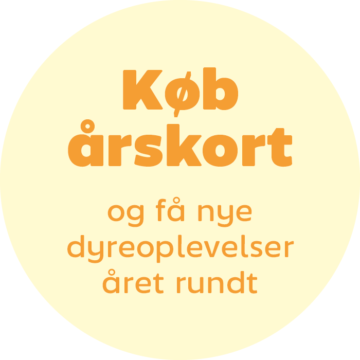 Køb Årskort til Odense ZOO