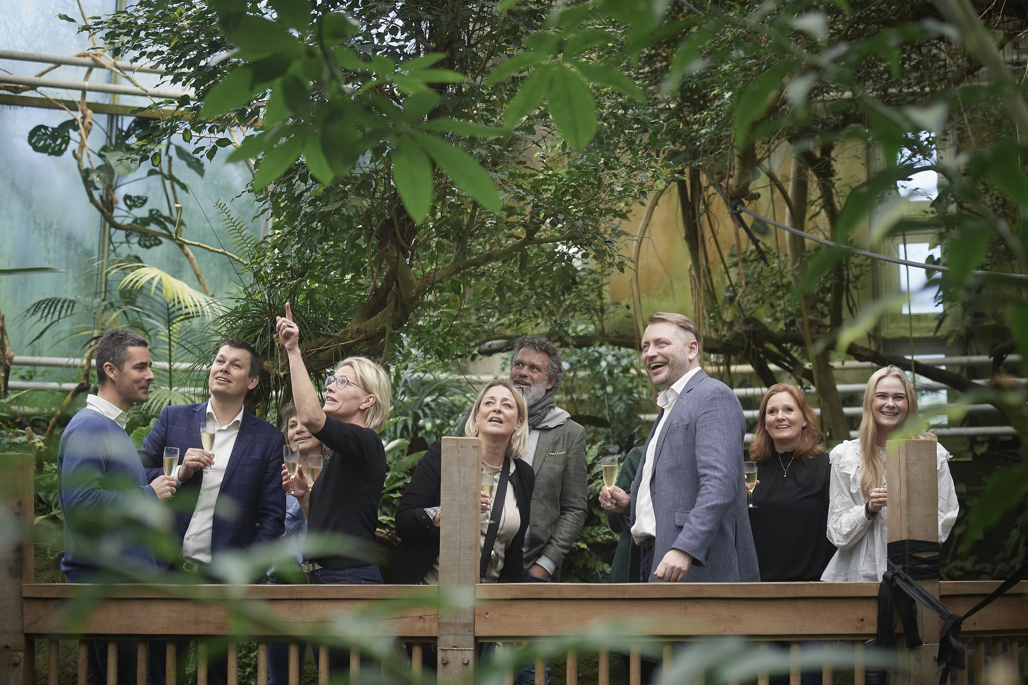 Nyd Et Glas Bobler I Regnskoven I Odense ZOO