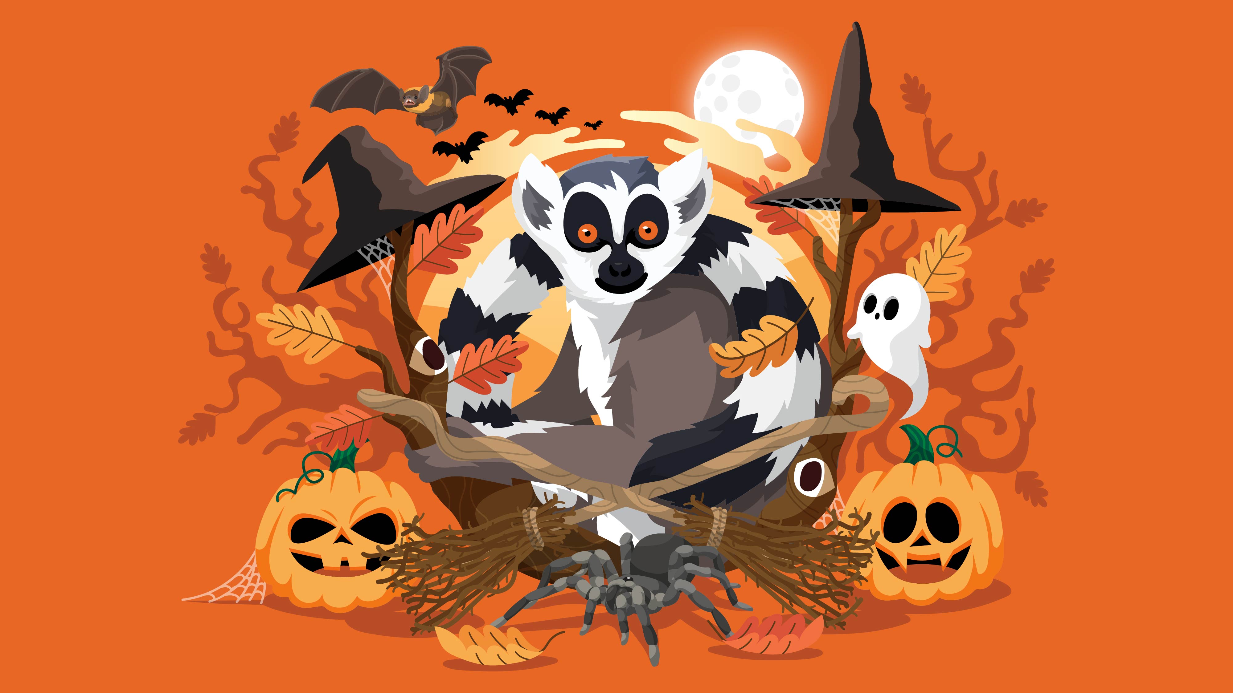 Efterår Halloween i ZOO illustration