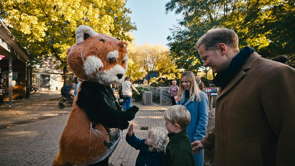 Bambus maskot i Odense ZOO