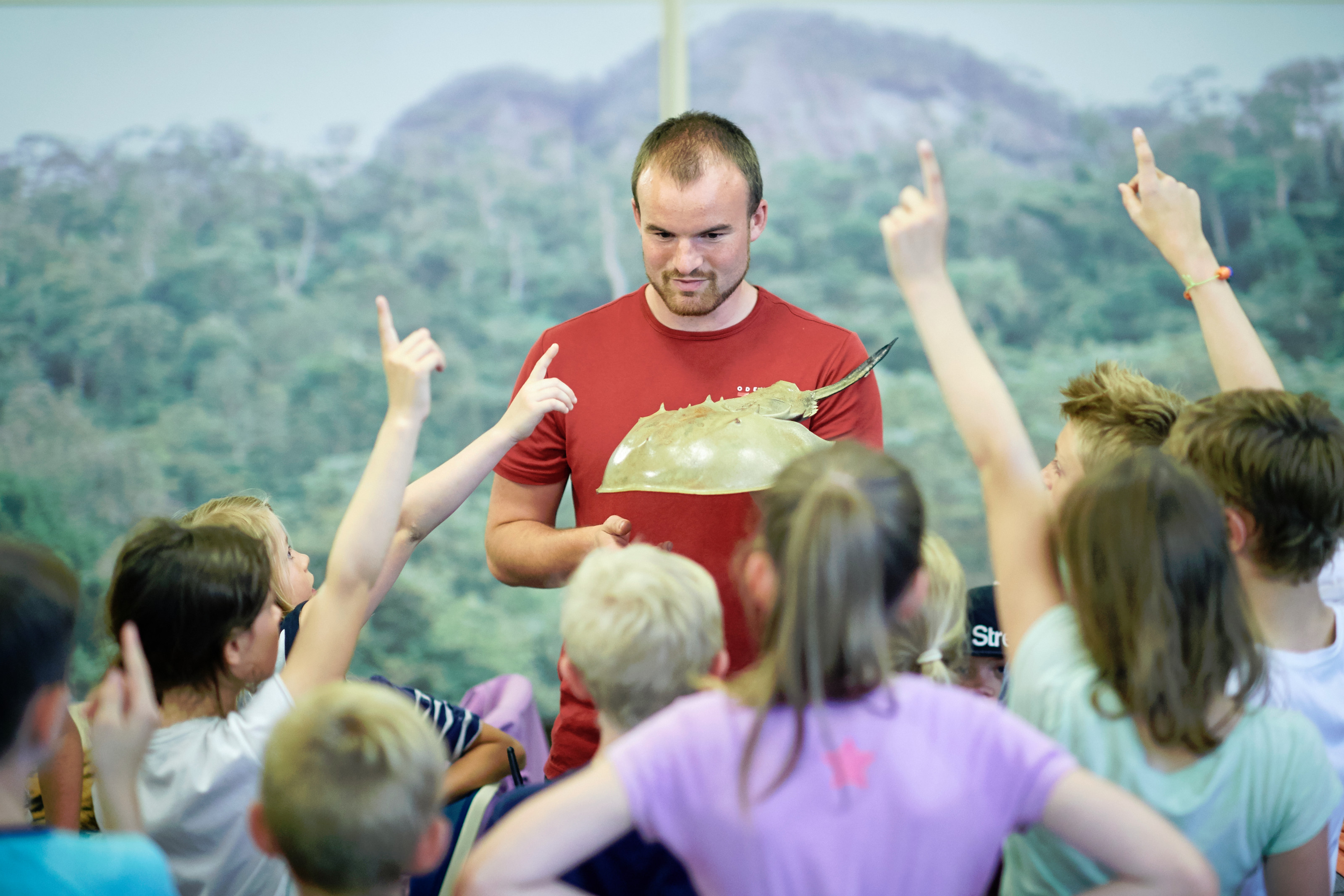 Undervisning Darwins Hus guide og elever udstoppet rokke børn med hænder i vejret Odense ZOO