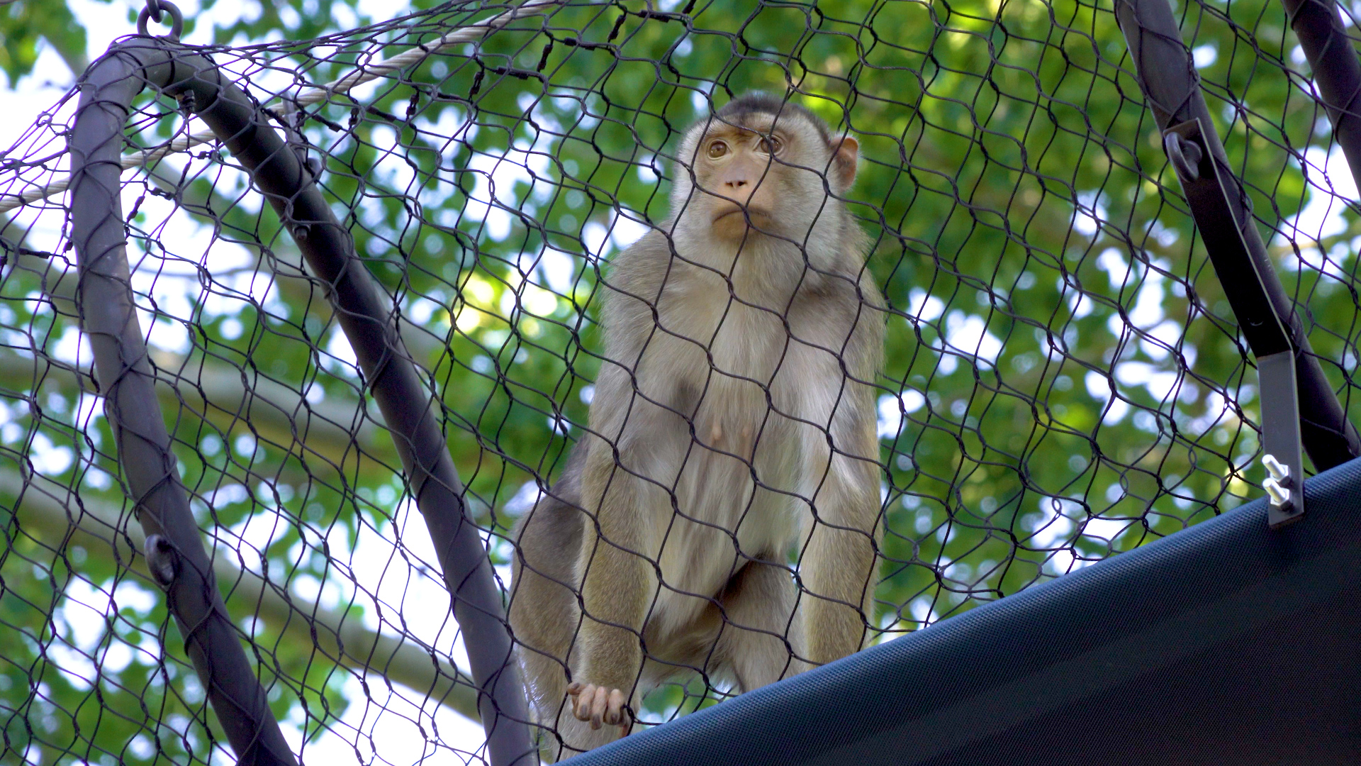 Sequence 04.00_01_31_12.Still002.jpg