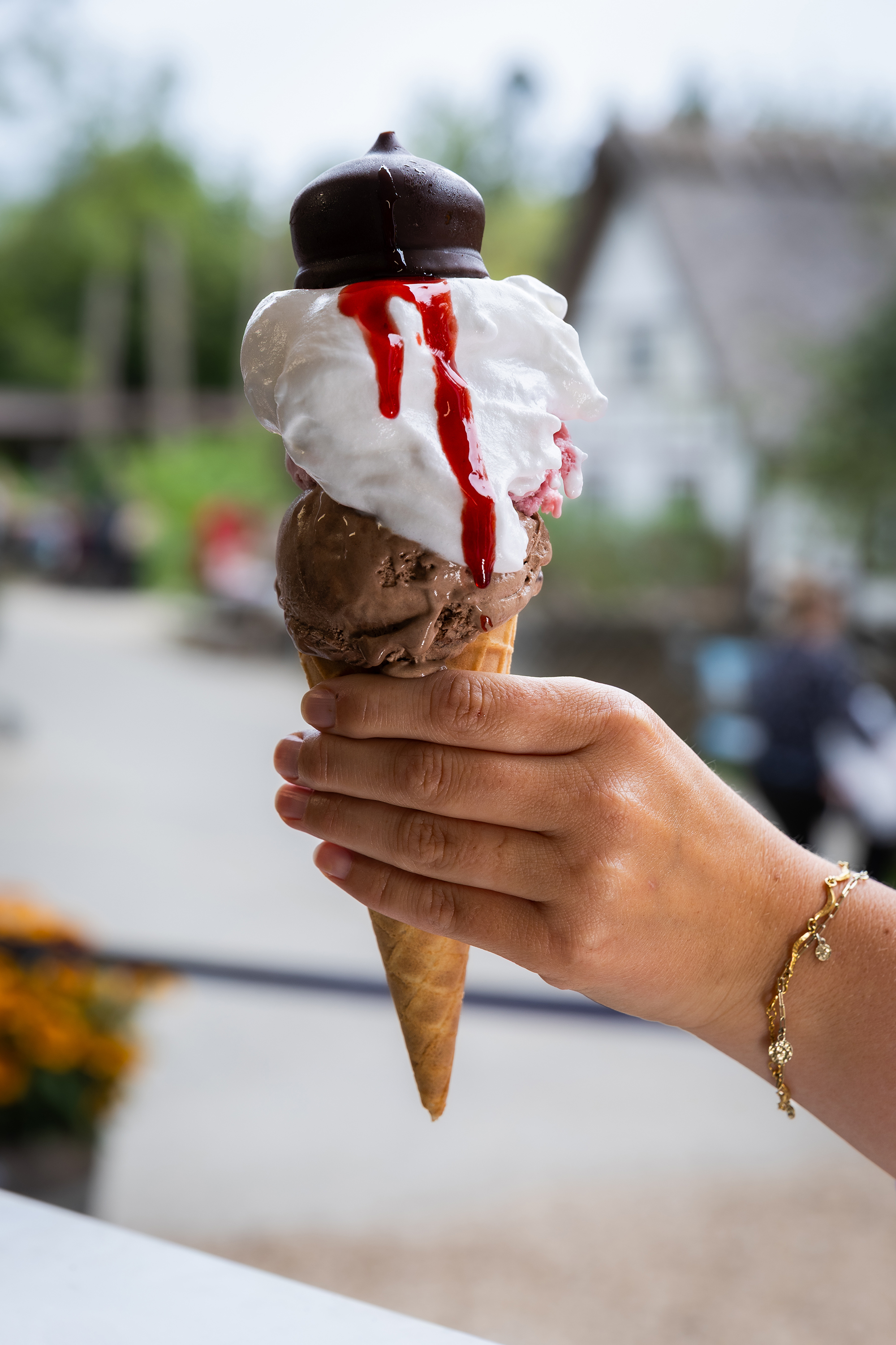 isvaffel med guf og syltetøj og flødebolle fra isværket i odense zoo