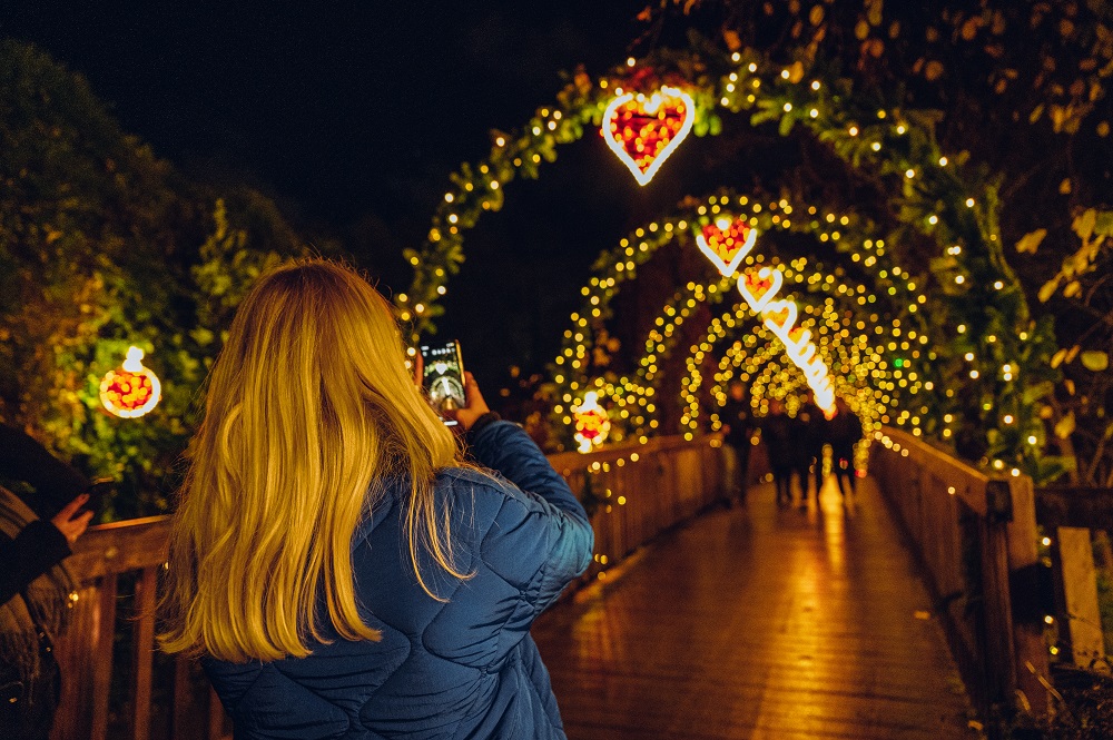 Broenmedjulehjerter8