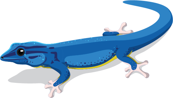 Elektrisk blå gekko