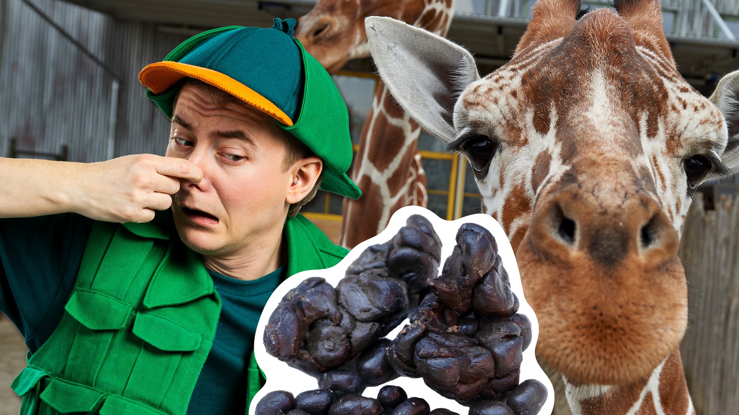 Ivan Vildand er landet i ZOO! Se første afsnit her