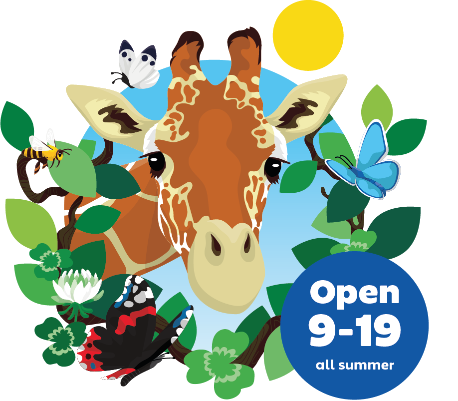 Illu Forside Mobil Sommer 2025 En