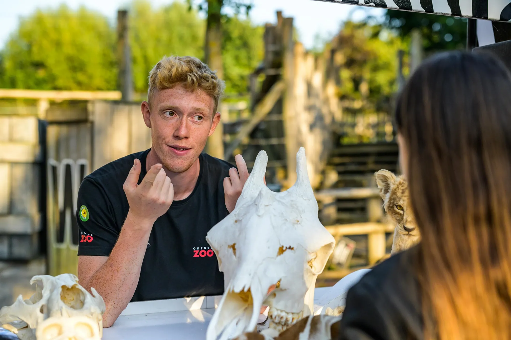 Undervisning rundvisning guide og gæst med kranier i Odense ZOO