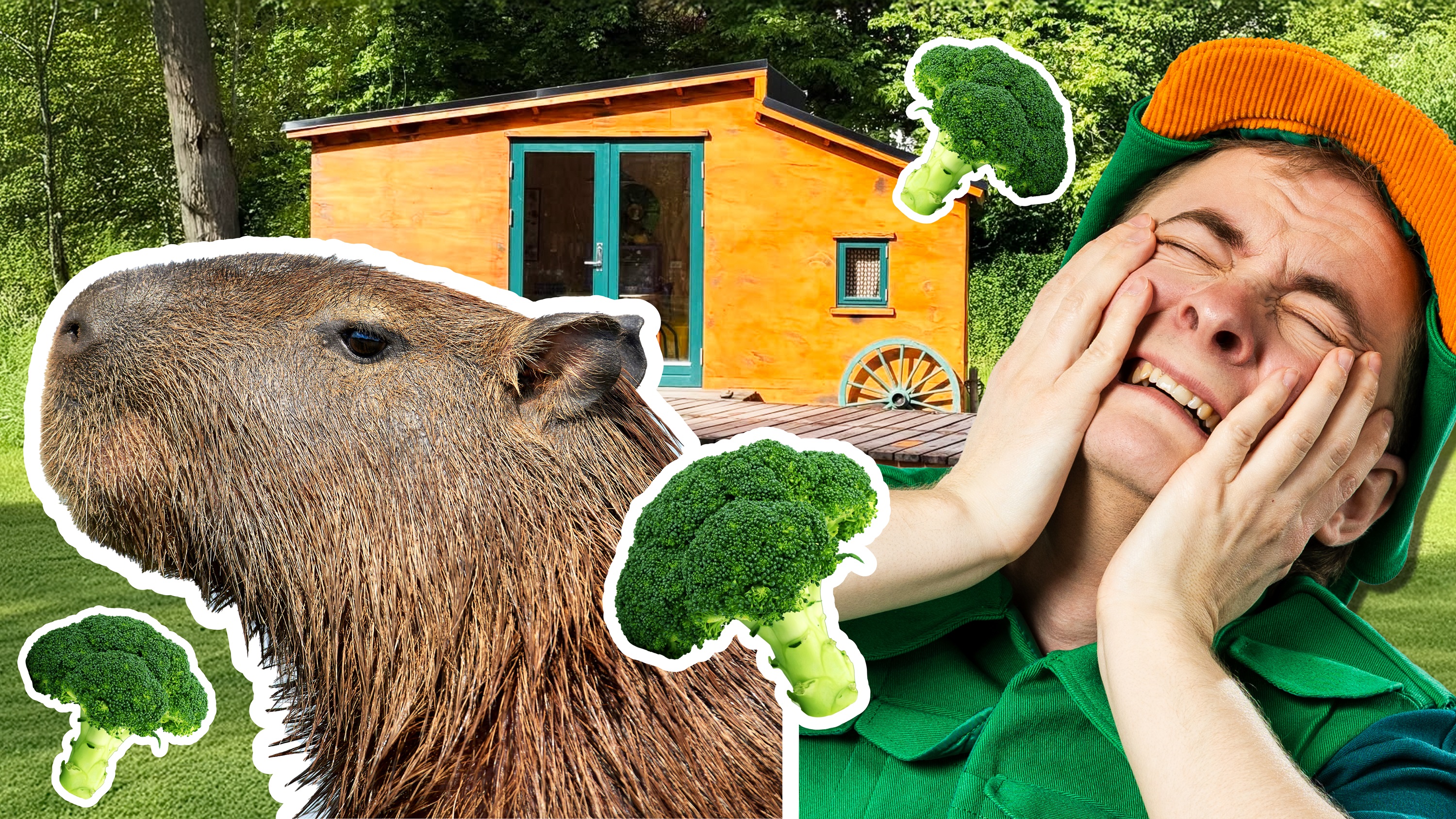 Ivan Vildand er landet i ZOO! Se med her