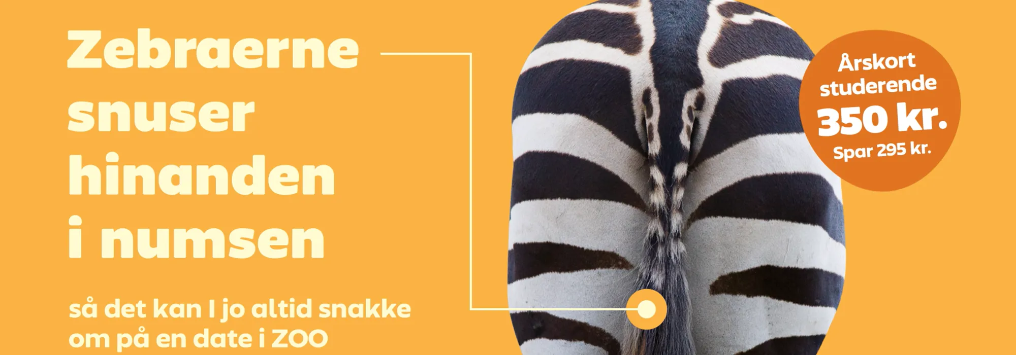 Zebranumse Studiekampagne U.Logo