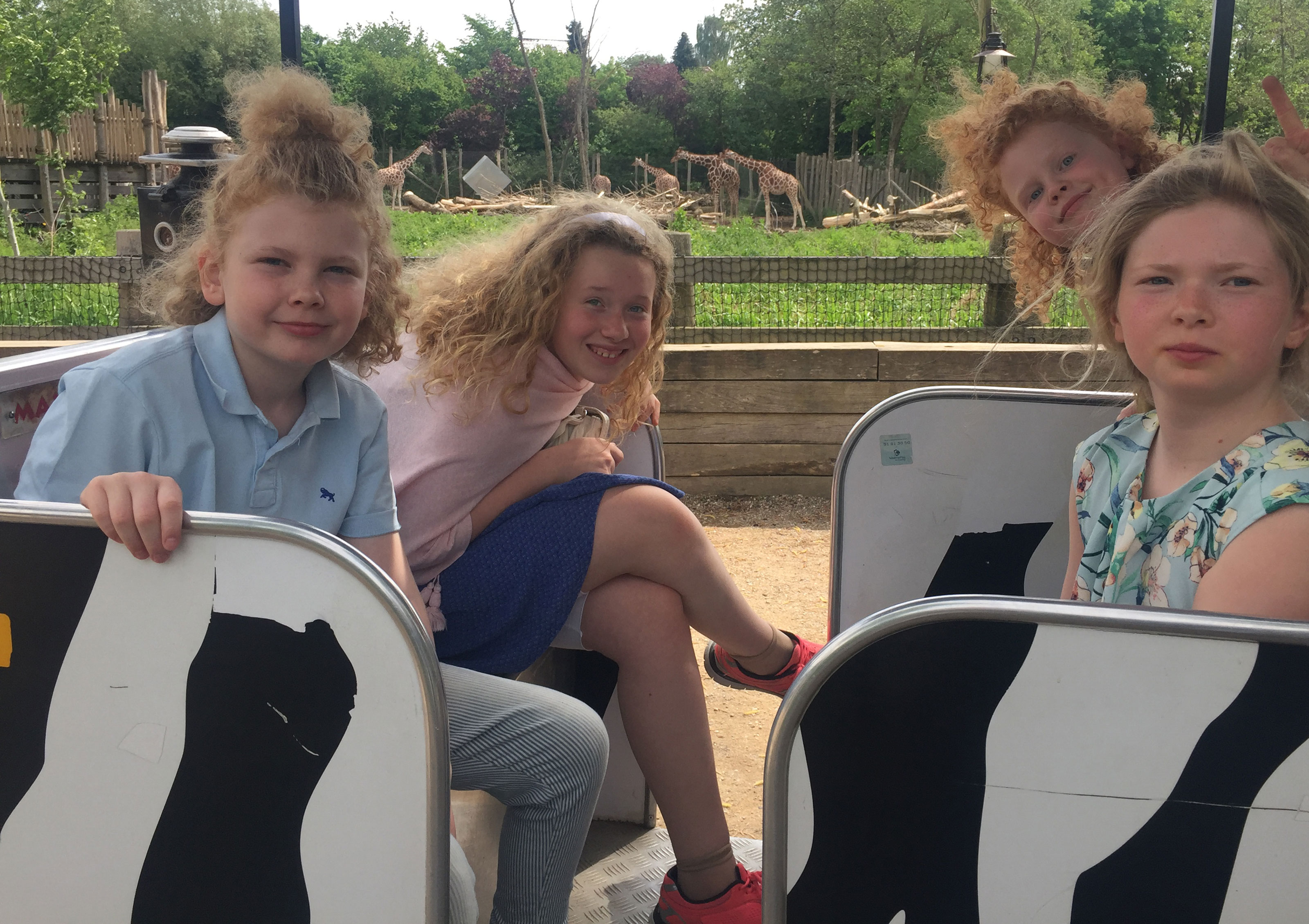 Boern Ombord Paa Zootoget I Odense Zoo