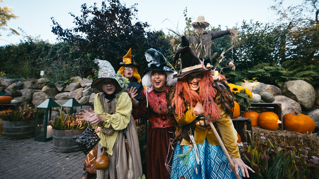 Halloween Still 2 1.55.1