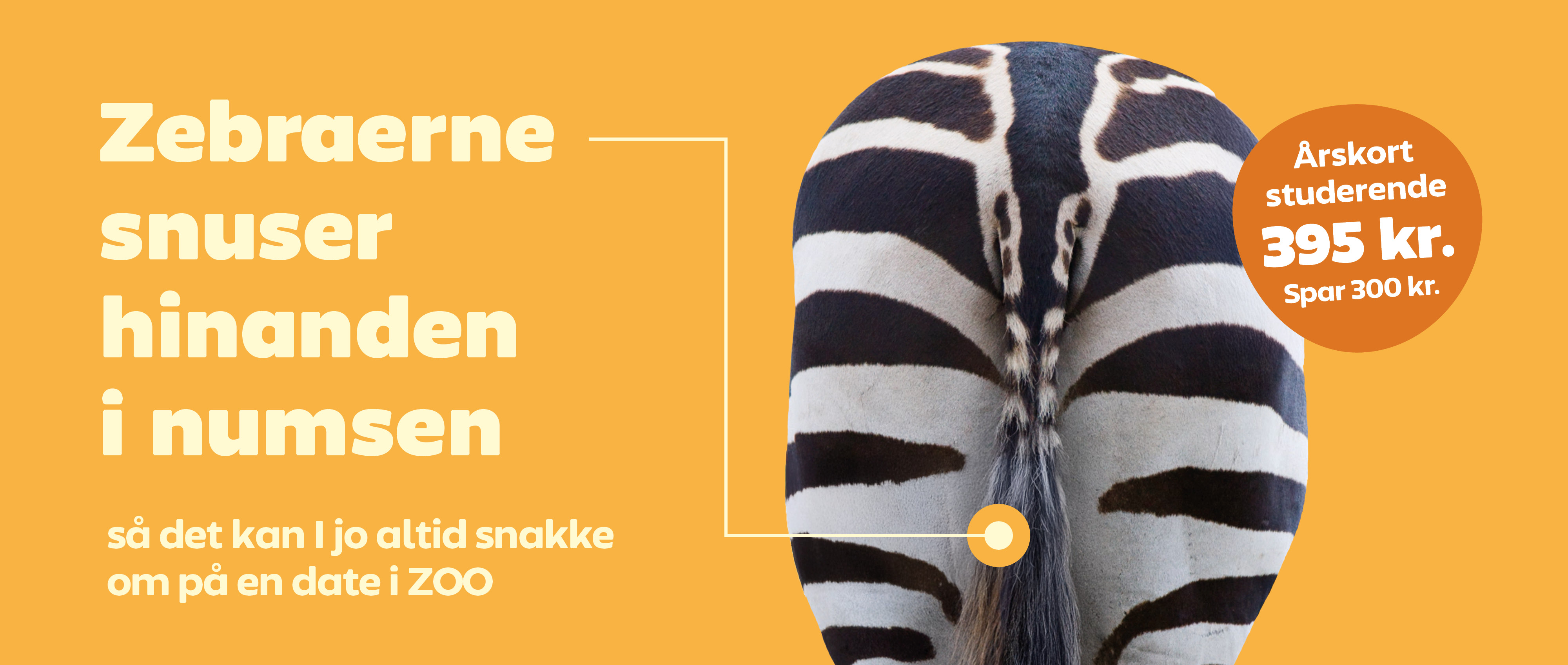 studiekampagne_zebranumse_web.jpg (1)